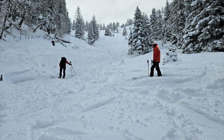 163ca96f-f65f-4451-a1da-2e7064c7a421