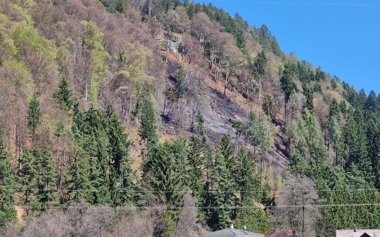 WhatsApp Image 2026-04-08 at 13.37.36