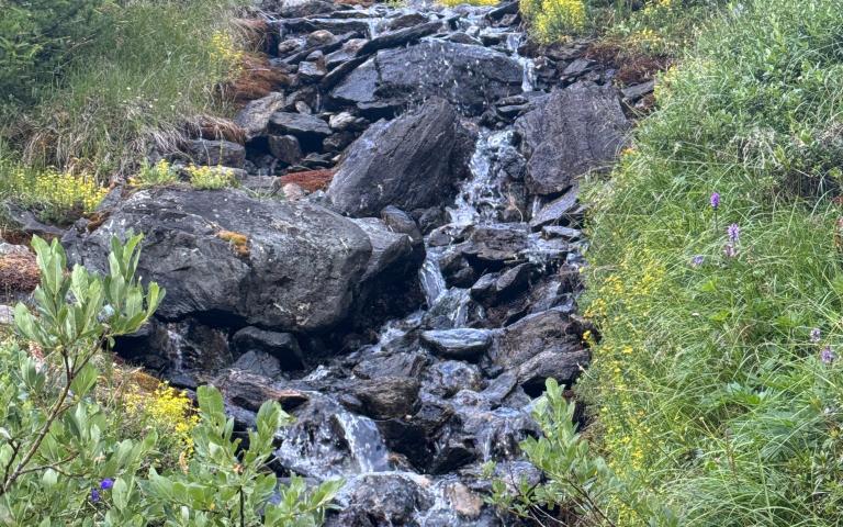 IMG-20260713-WA0262
