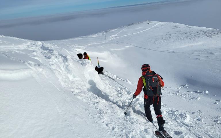 WhatsApp Bild 2025-12-07 um 07.12.27_66b00ce2