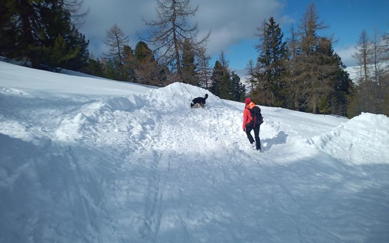 IMG_20240305_105049_450