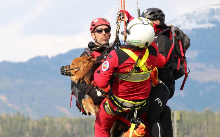 Hunde_Hubschrauber&uuml;bung(393)@Gabi_Broschek-Noisternig