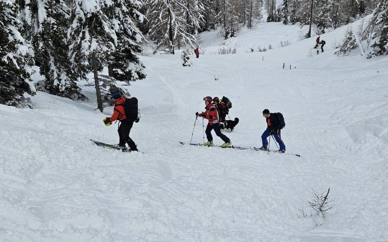 4a37b8ff-e426-42d4-a918-0a6f02b4d038