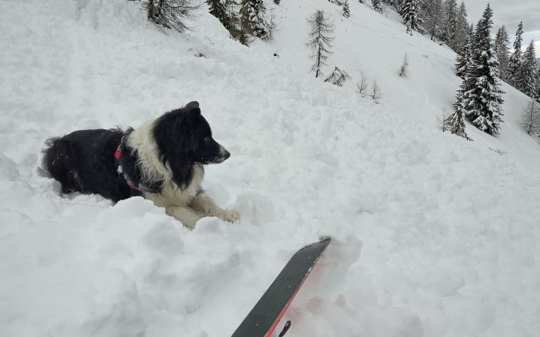 IMG_20260206_100844 (1)