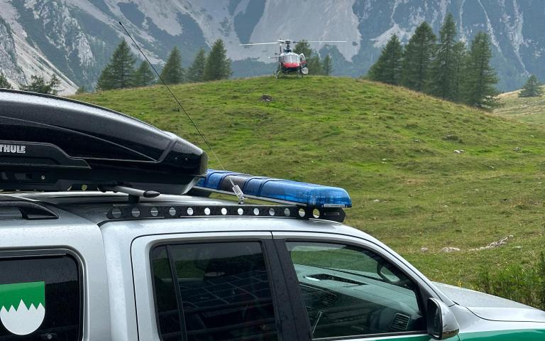 7a5c0371-a45c-4138-9619-bf6cfee4d4d9