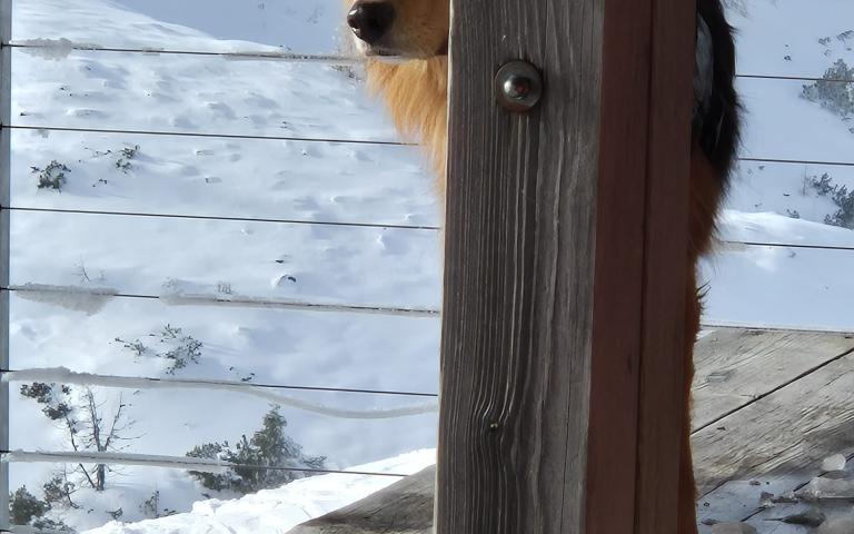 WhatsApp Bild 2025-12-06 um 15.15.45_e4abffdc