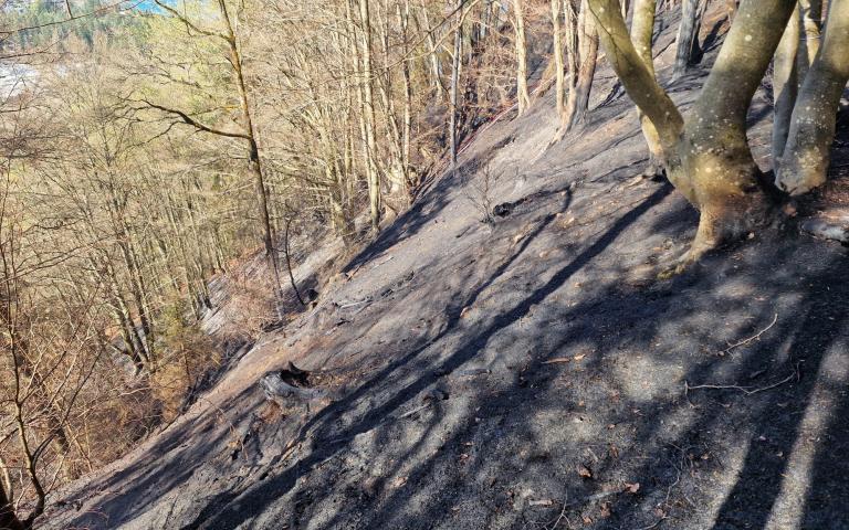 WhatsApp Image 2026-04-08 at 13.37.50 (2)